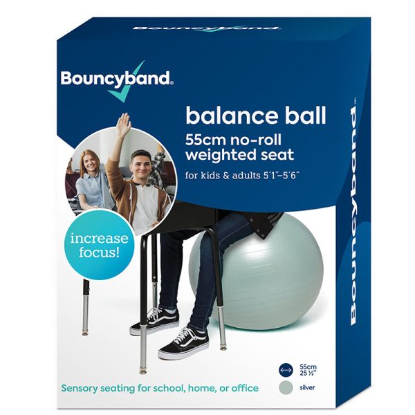 Balance Ball, 55cm, Silver