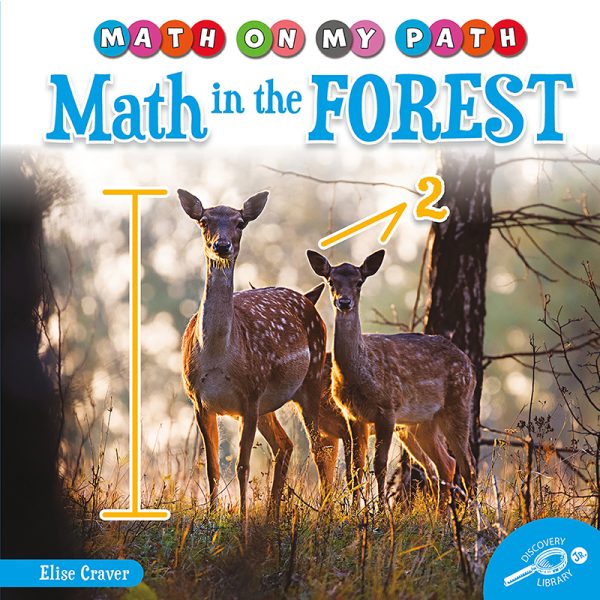 Math in the Forest