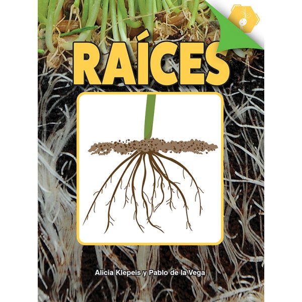 Raíces Book, Paperback