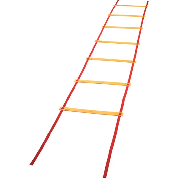 Economy Agility Ladder