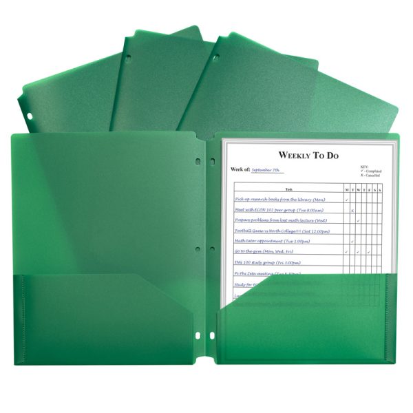 Two-Pocket Heavyweight Poly Portfolio Folder with Three-Hole Punch, Green, Each