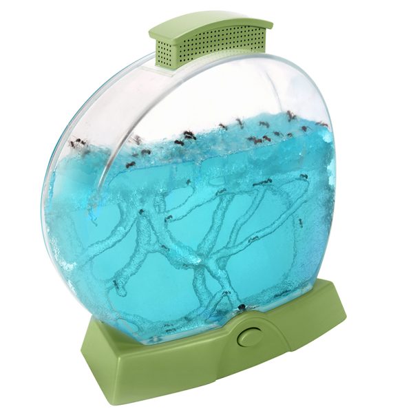 Geosafari® Day 'N' Night Ant Farm