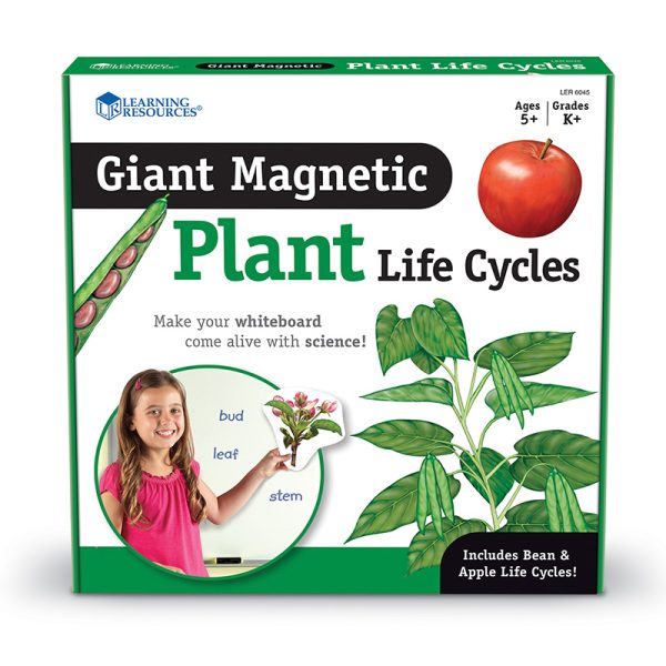 Giant Magnetic Plant Life Cycle, Set of 12