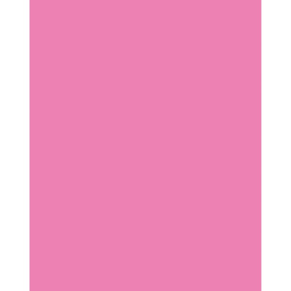 Neon Coated Poster Board, Neon Pink, 22" x 28", 25 Sheets