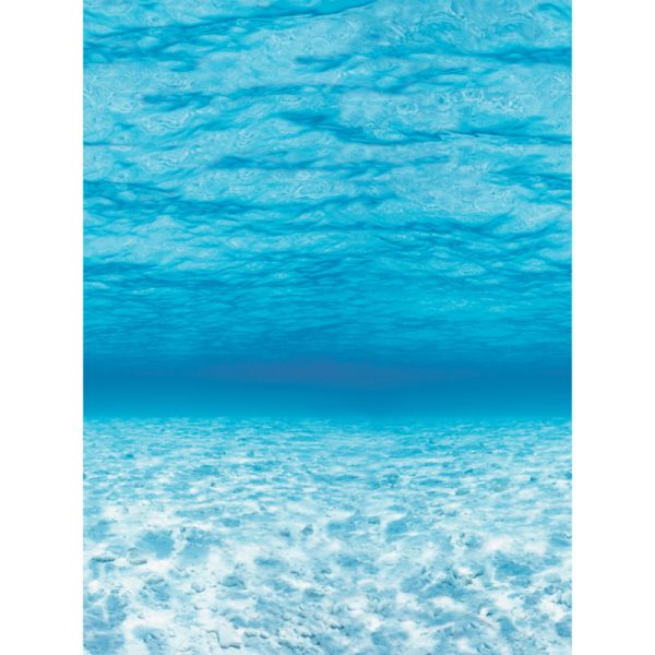 Bulletin Board Art Paper, Under The Sea, 48" x 12', 4 Rolls