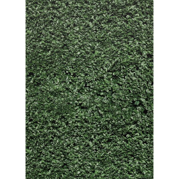 Better Than Paper® Bulletin Board Roll, 4' x 12', Boxwood Design, 4 Rolls